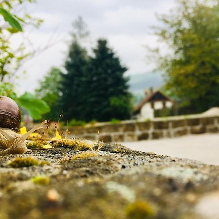 Penzion Sloup Sloup  Zewnętrze zdjęcie