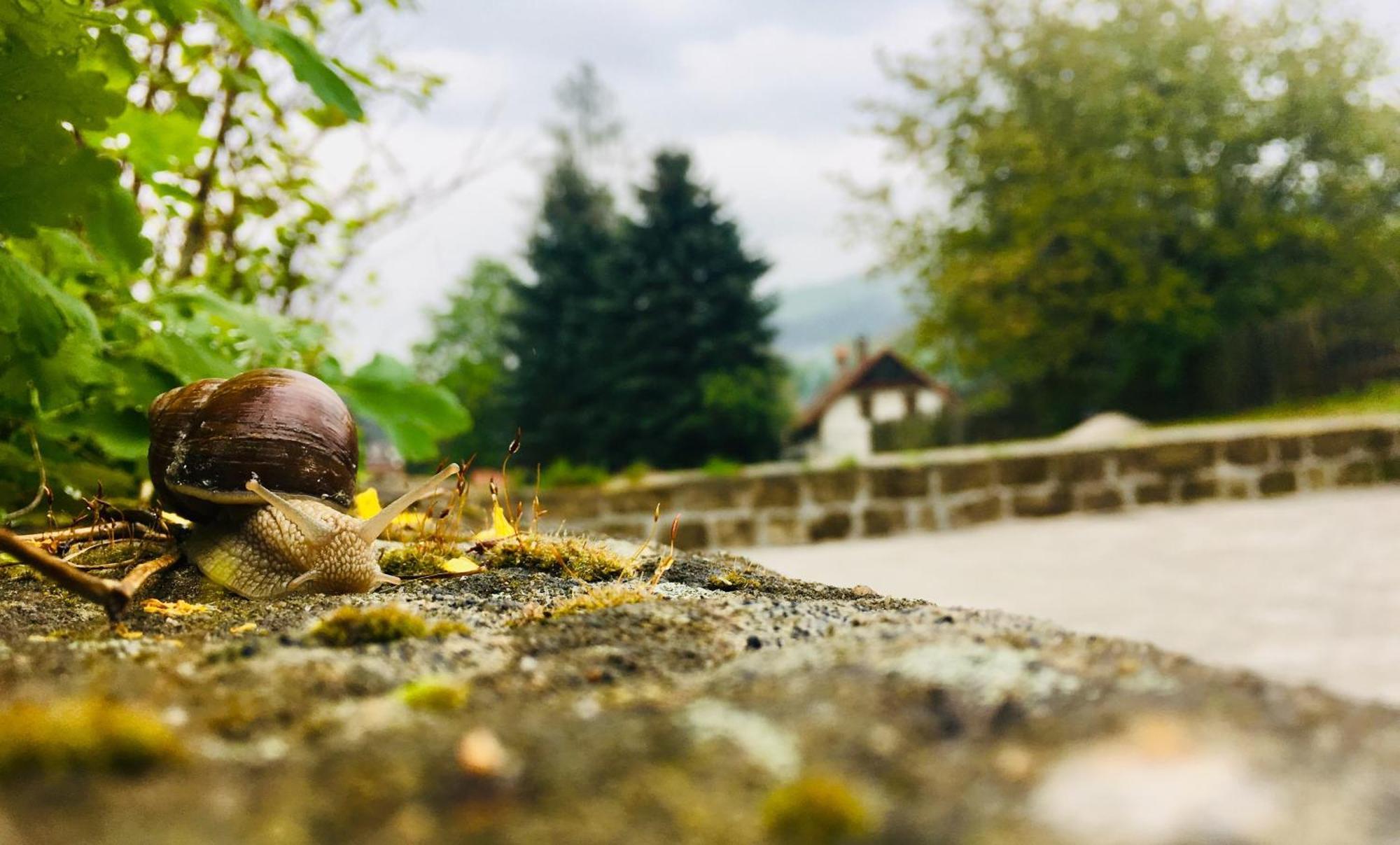 Penzion Sloup Sloup  Zewnętrze zdjęcie